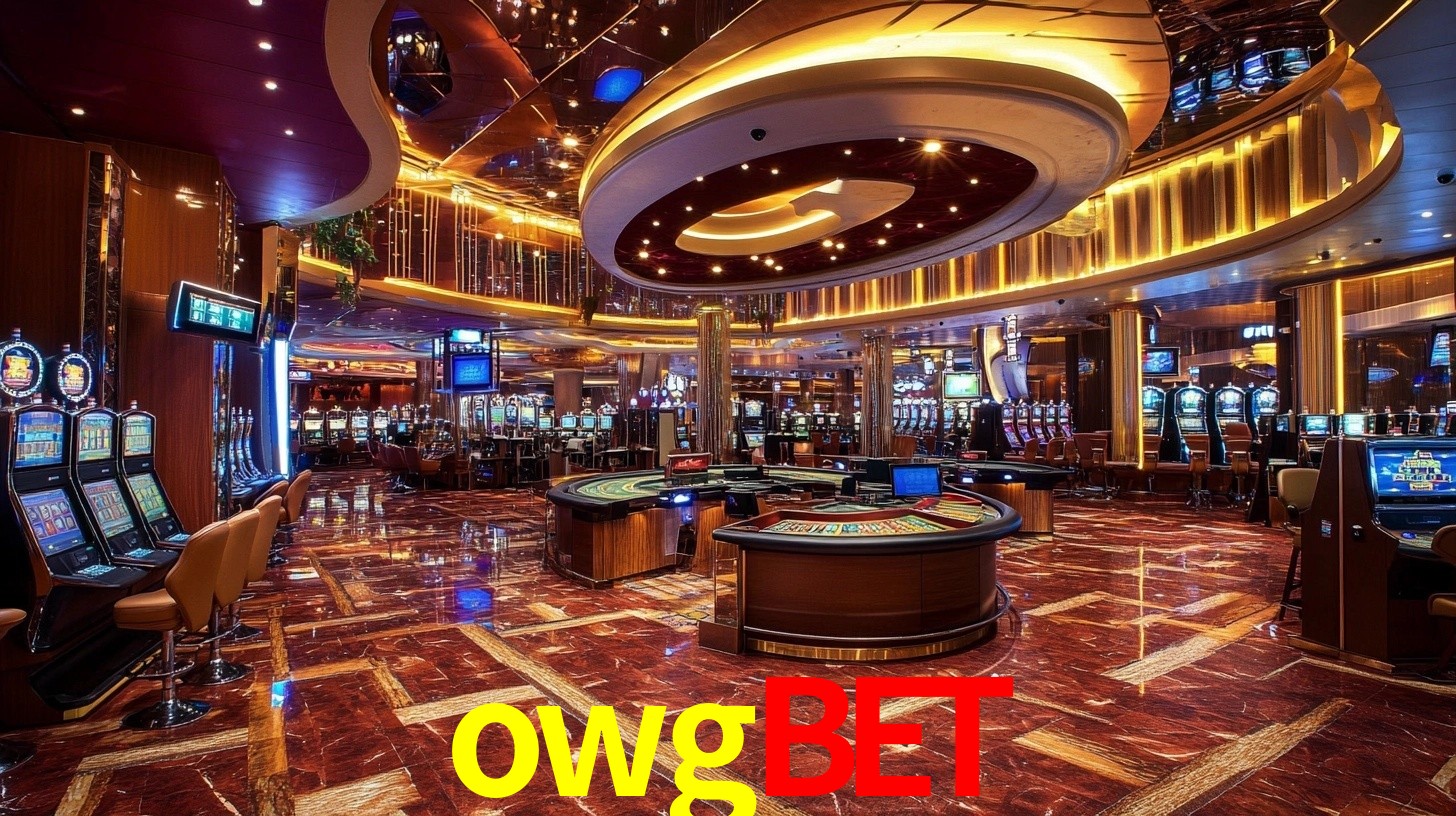 owgbet App Interface