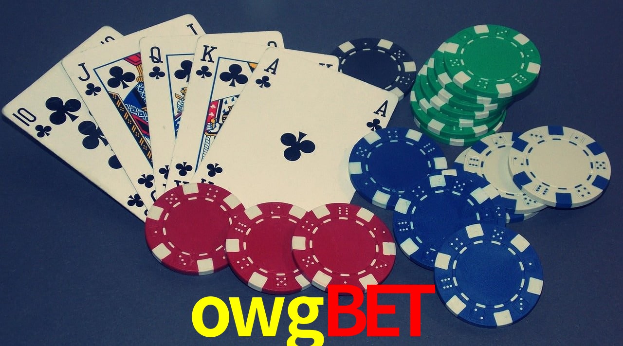 Sports Statistics owgbet